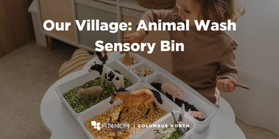 AnimalWashSensoryBin.png
