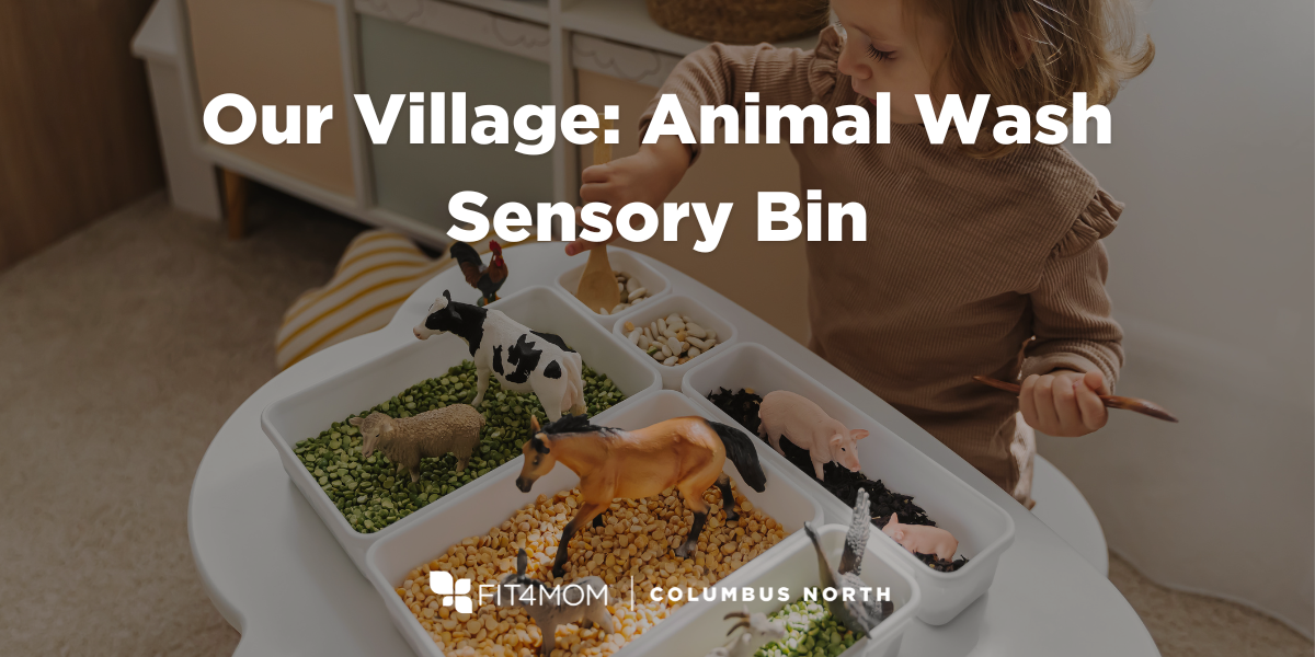 AnimalWashSensoryBin.png