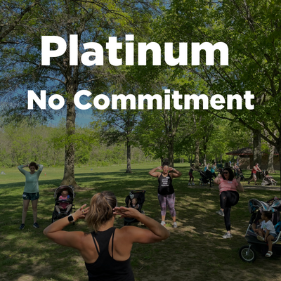 PlatinumNoCommitment.png