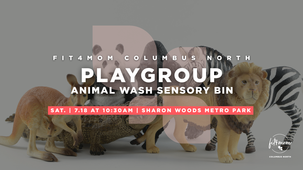 Animal Wash Sensory Bin.png