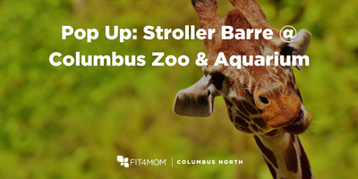 ZooPopUp.png