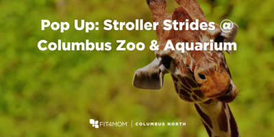 StrollerStridesAtZoo.png
