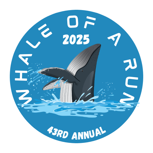 WhaleOfARun2025.png