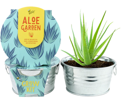 Aloe Plant Kit