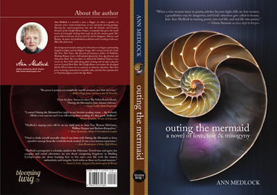 preview-full-Outing the Mermaid (Book Cover).pdf copy.png