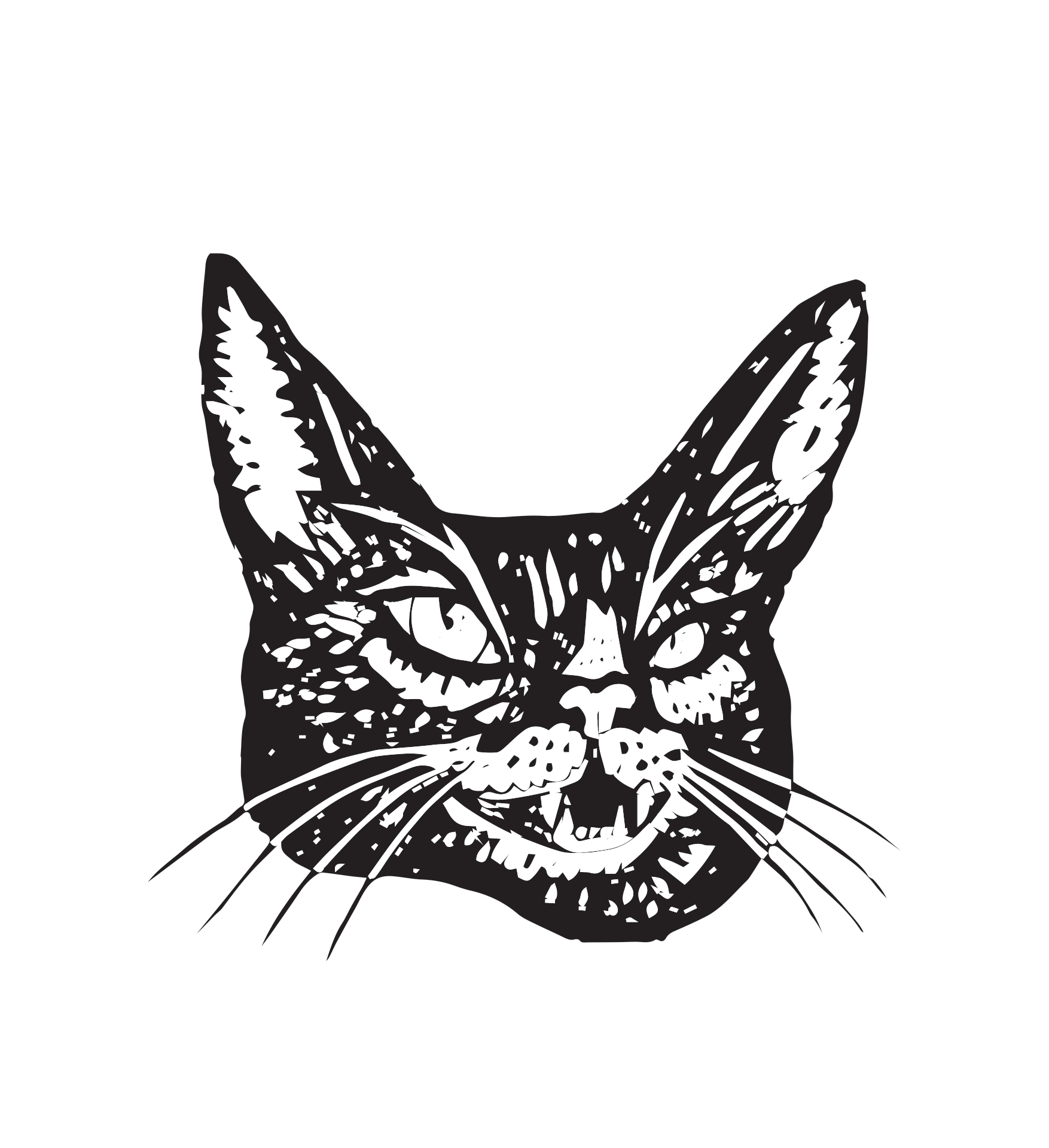 Mean Eyed Cat