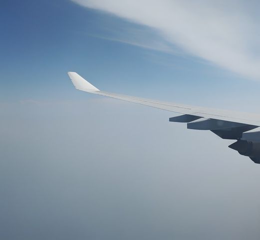 airplane wing.jpg