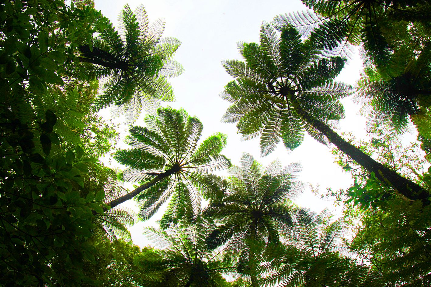 Inspire. Curate. Explore.