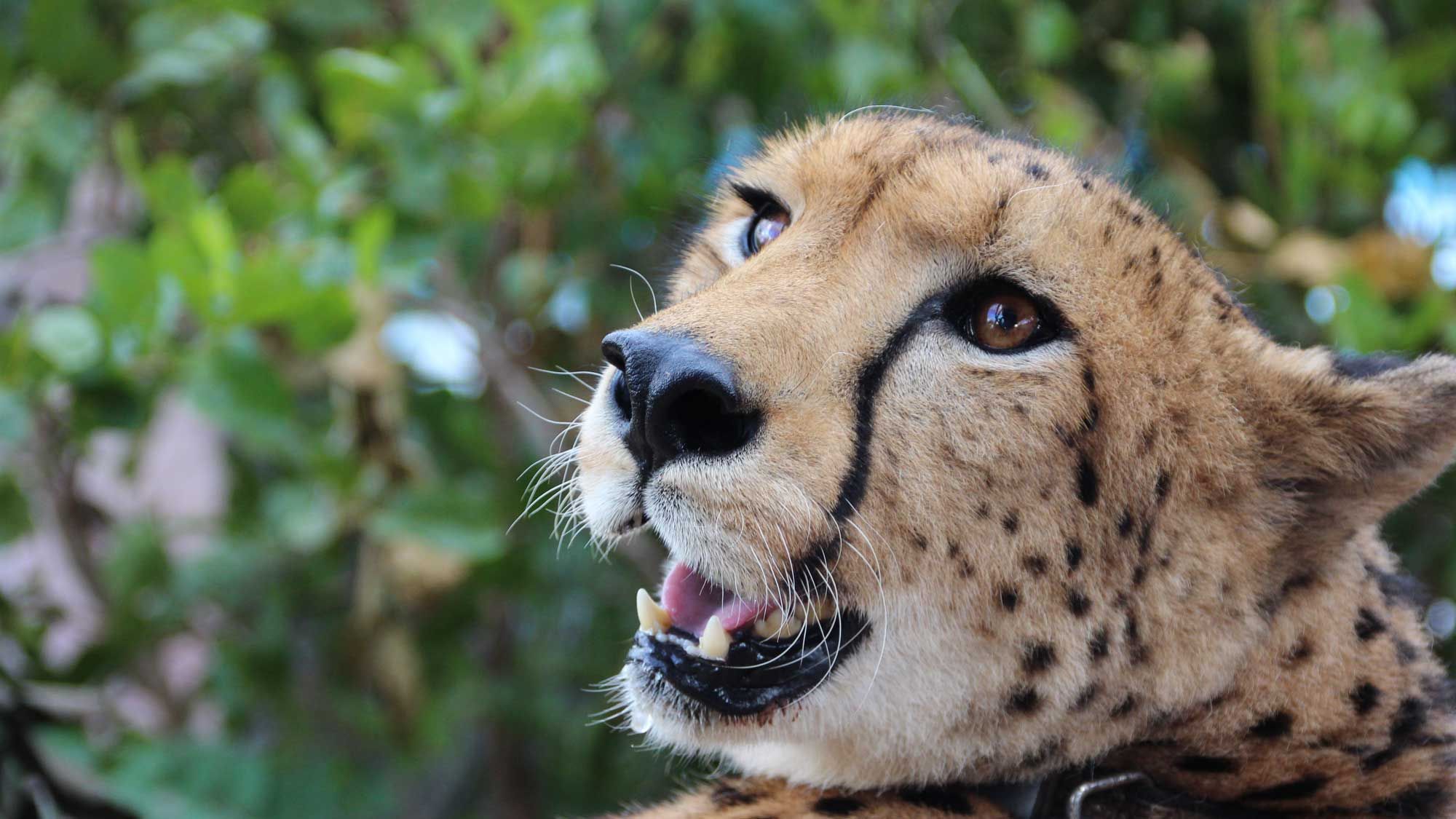 sdfgfdsg Inspire. Curate. Explore.