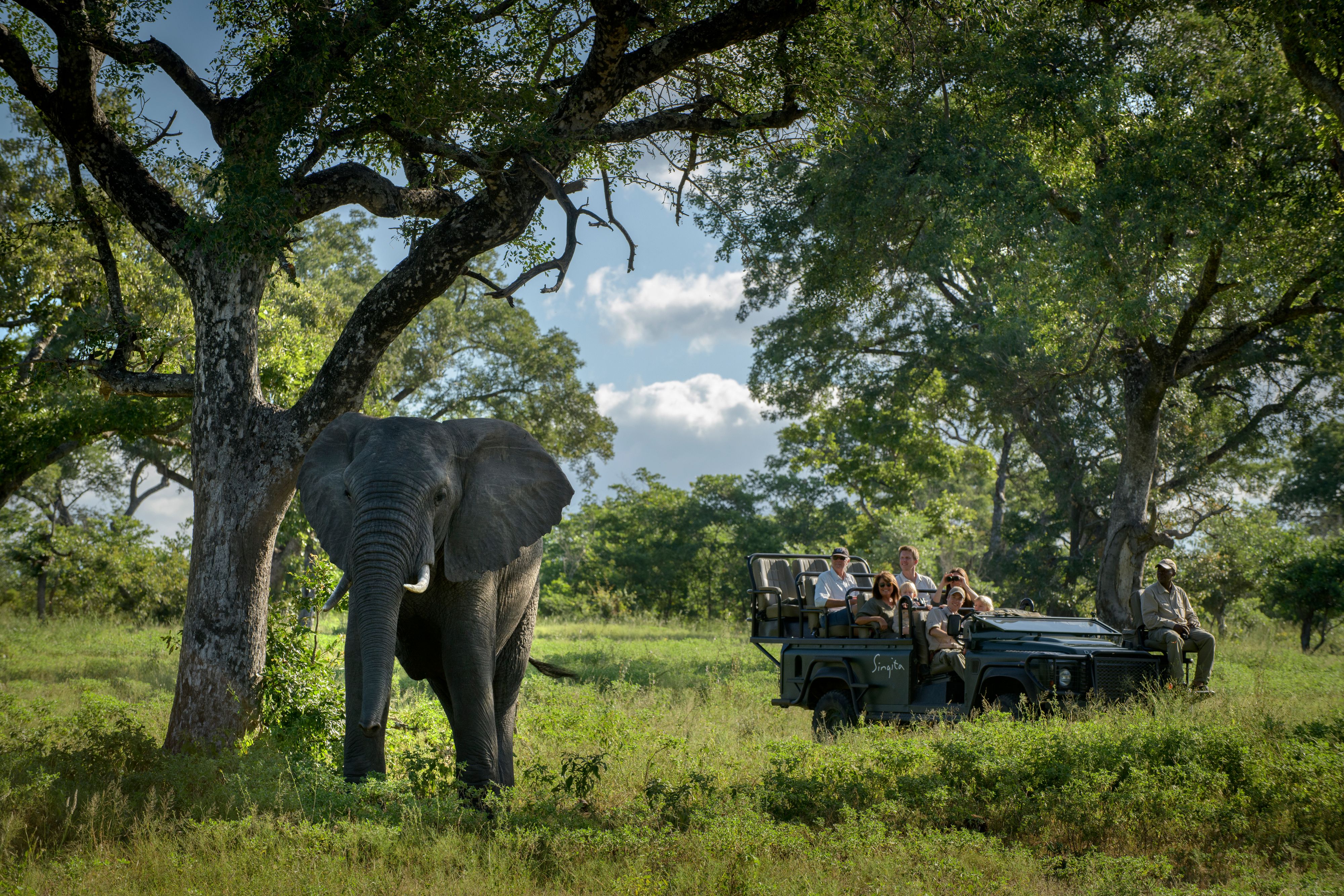 Singita Sabi Sand_Elephant on Gamedrive.jpg