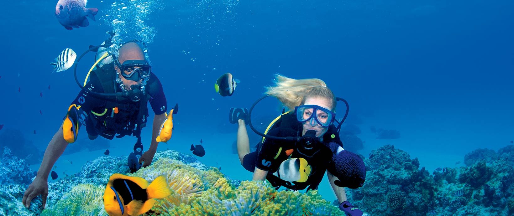 Inspire. Curate. Explore.