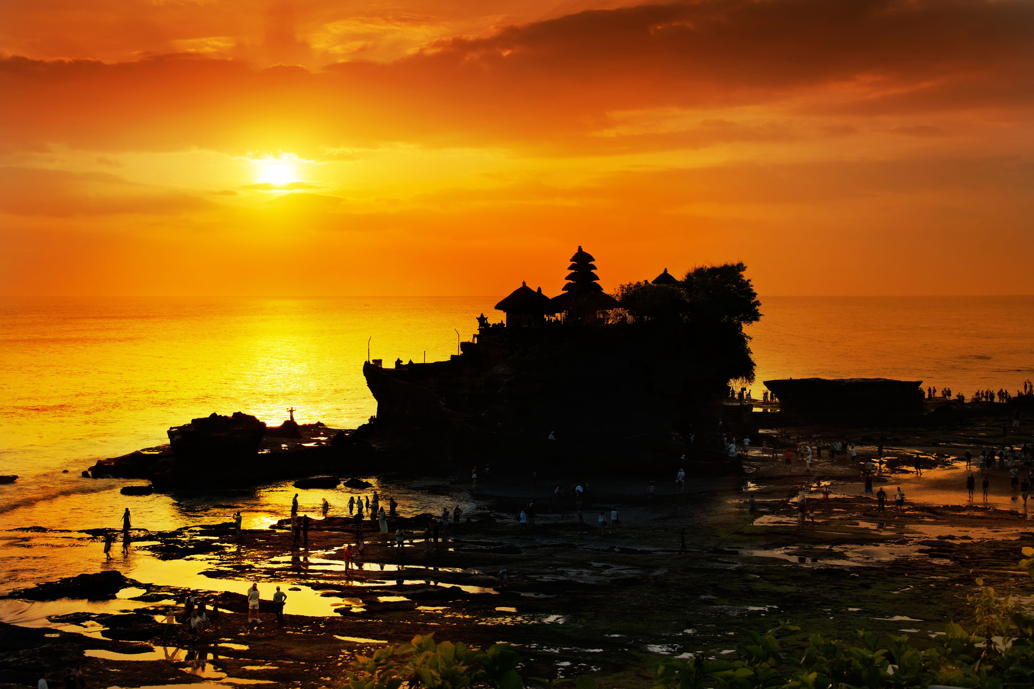 Inspire. Curate. Explore.