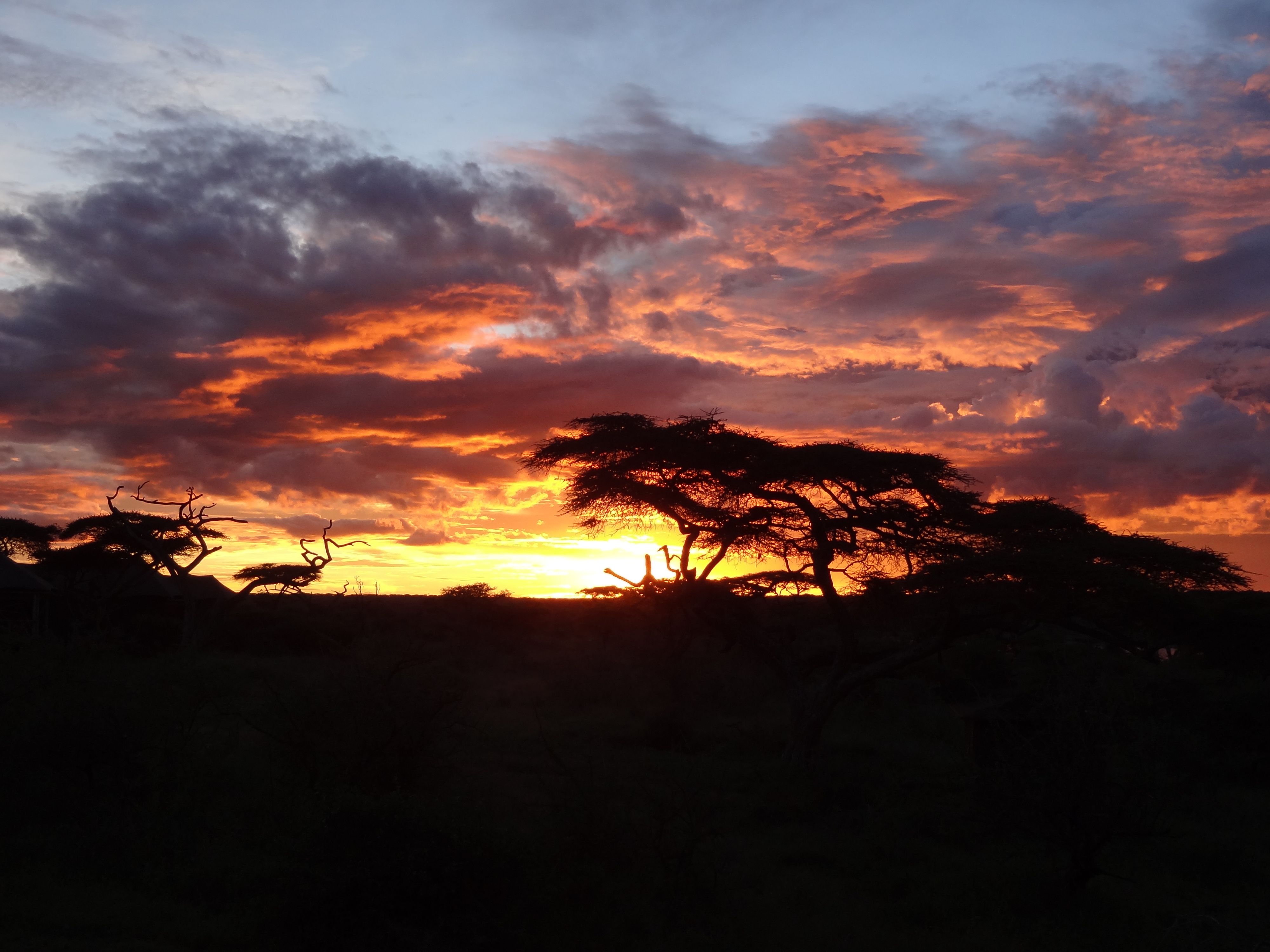 tz and ke safari 1043.jpg