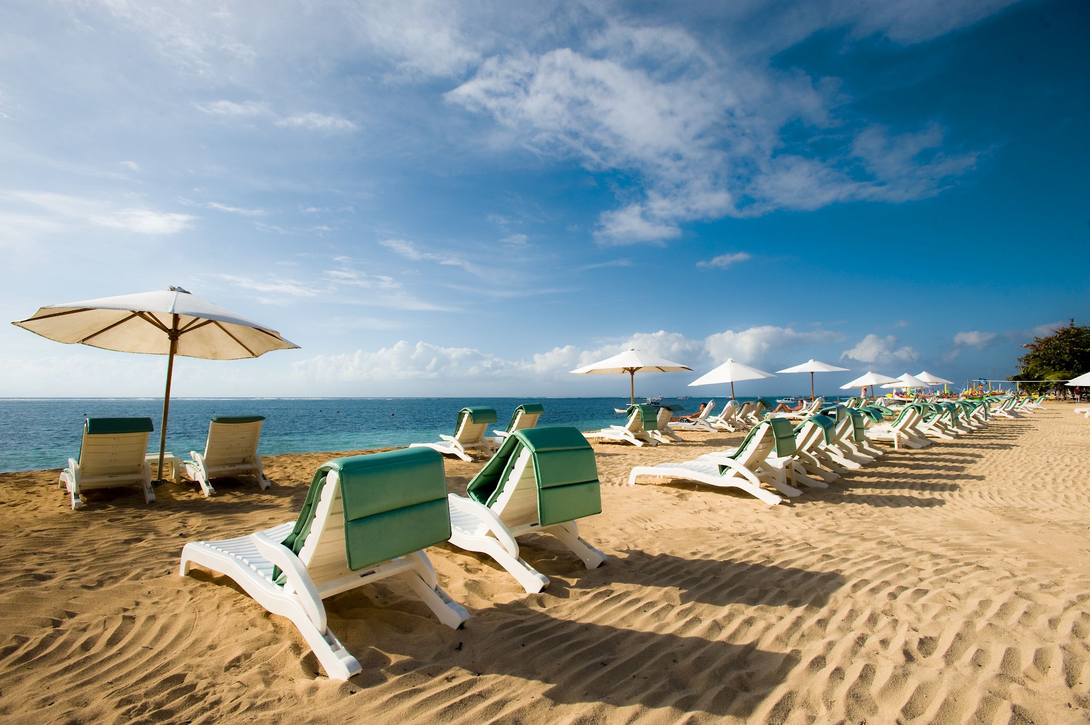 Inspire. Curate. Explore.