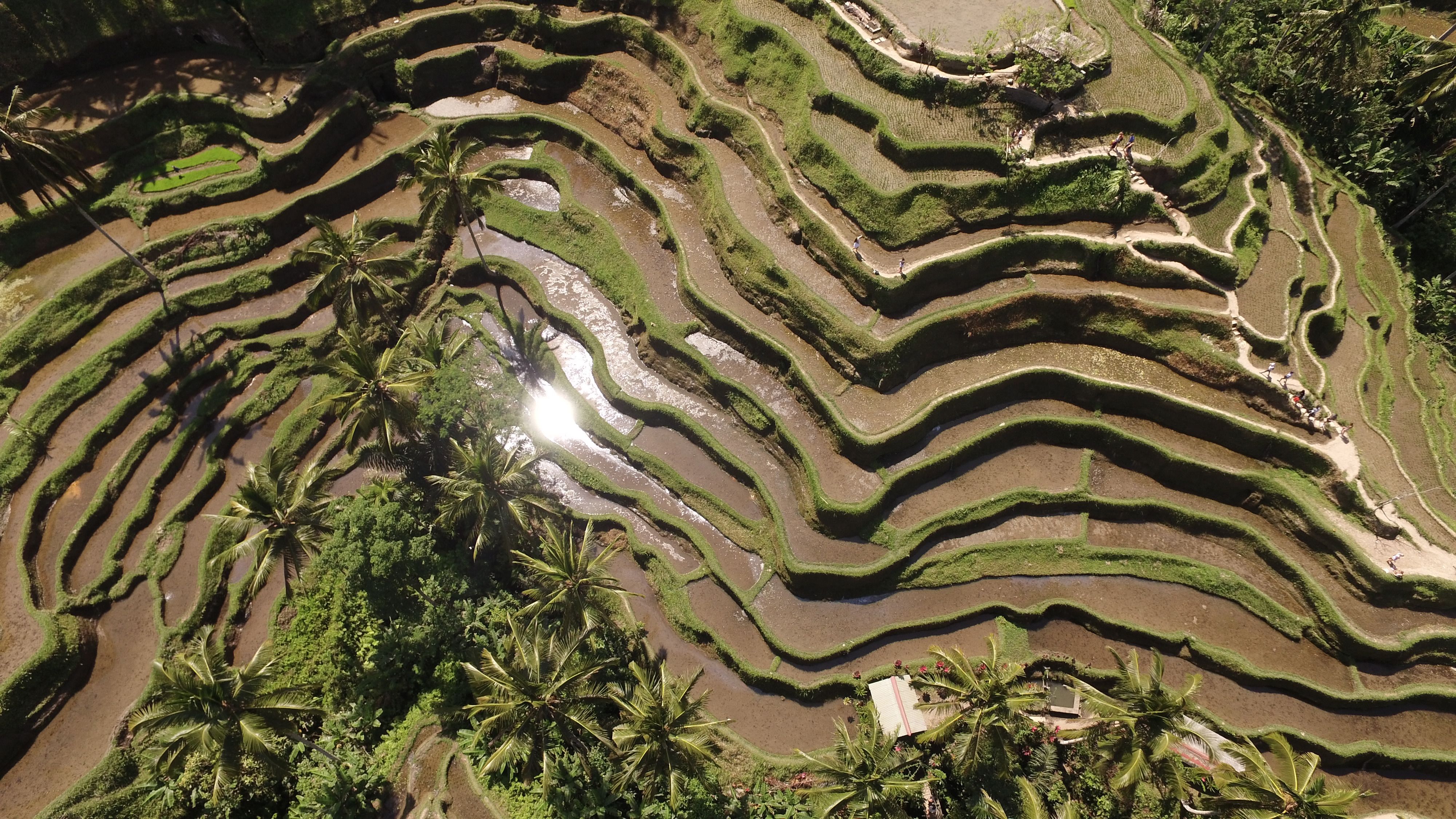 Inspire. Curate. Explore.