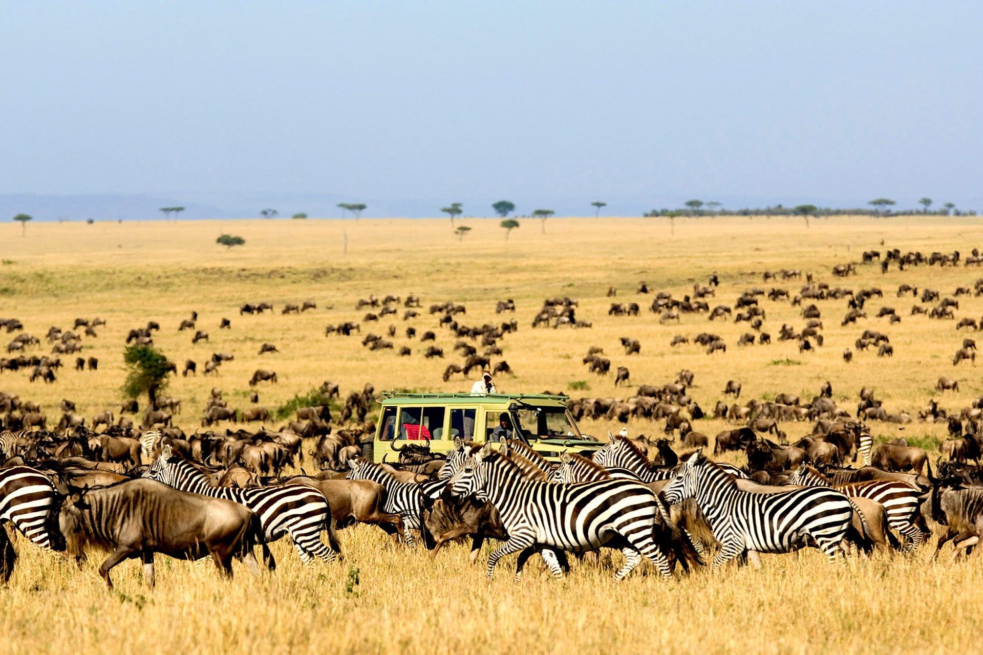 Kenya-and-Tanzania-Great-Wilderness-Safari-1-1.jpg