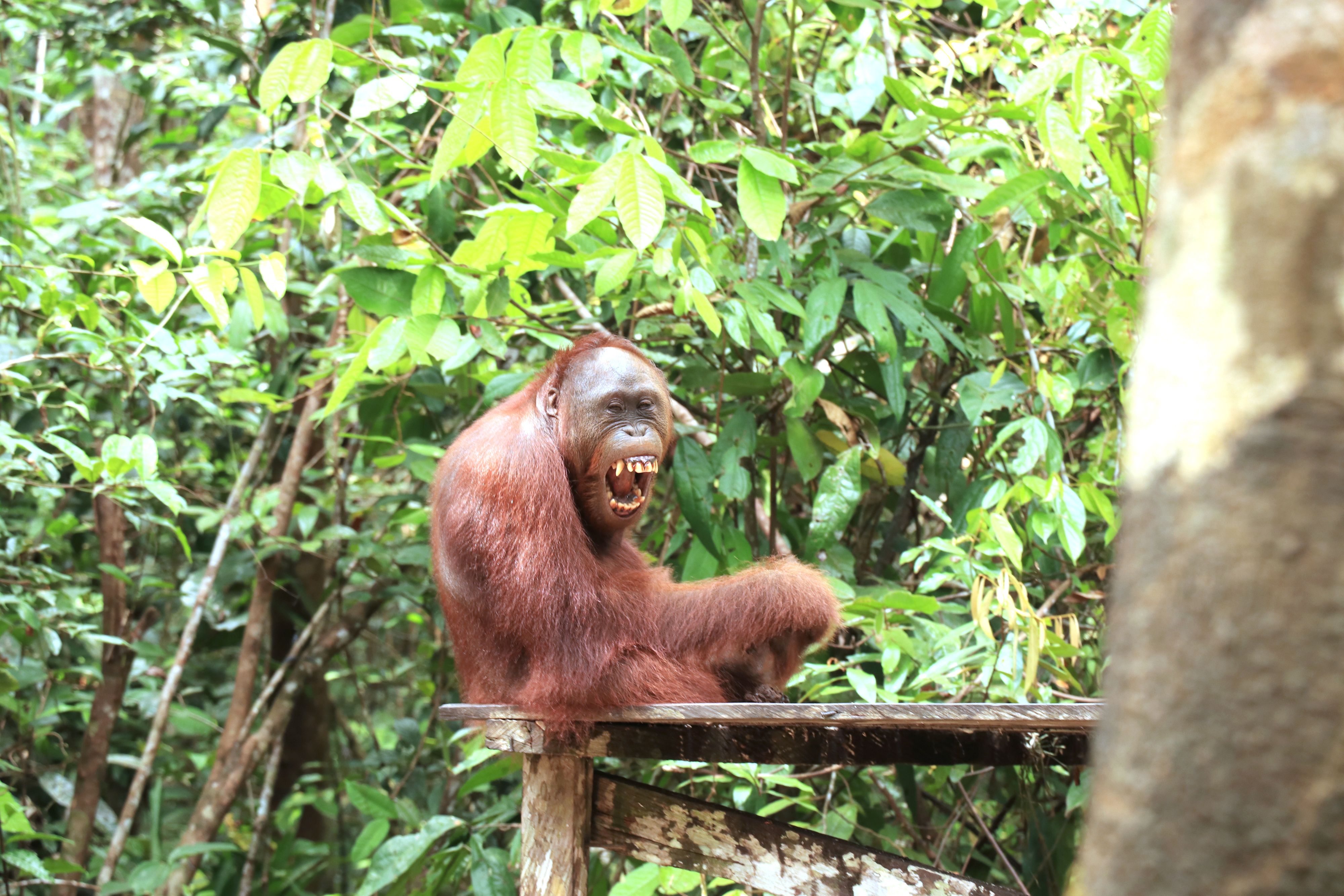 Inspire. Curate. Explore.