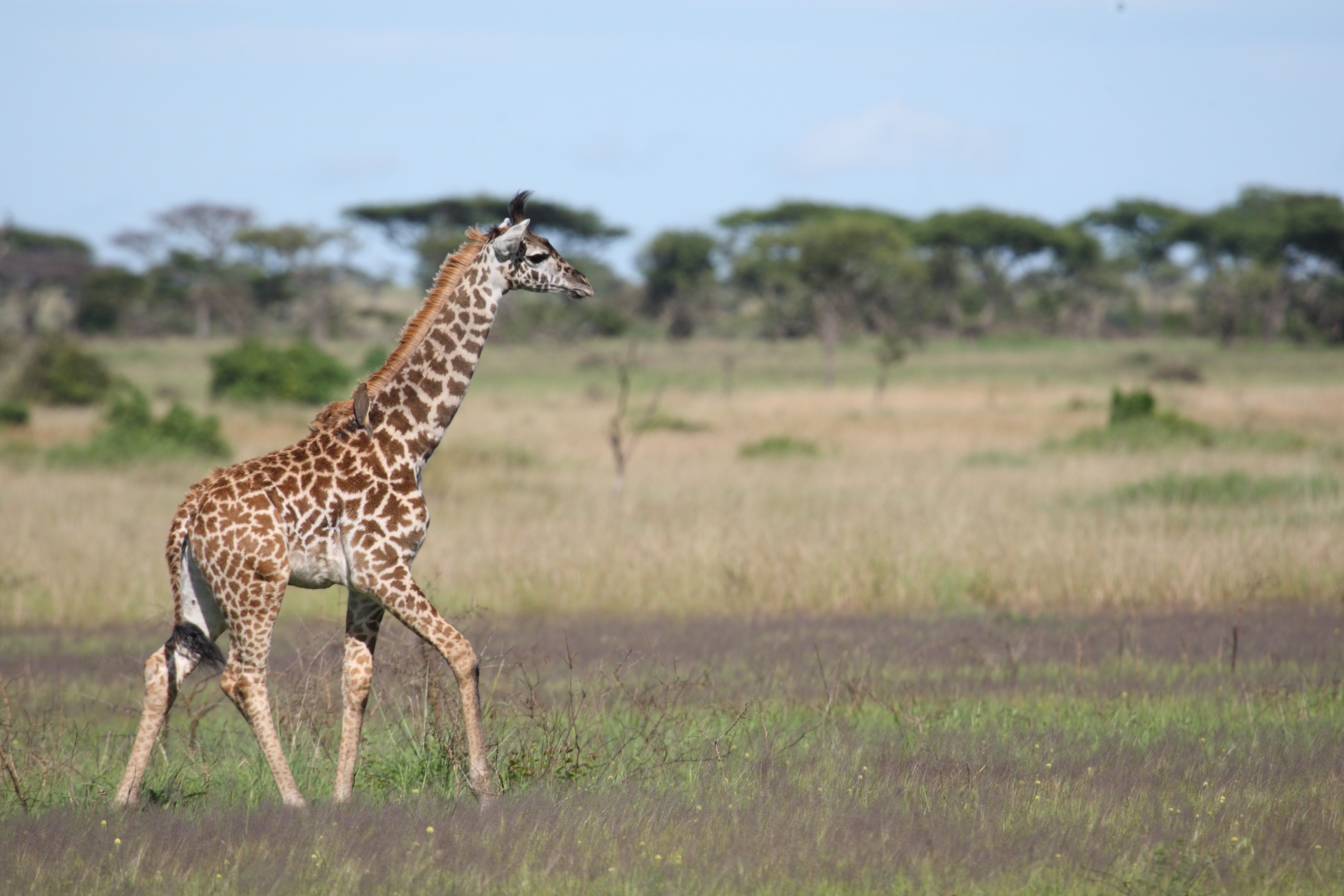 Inspire.  Curate.  Explore.