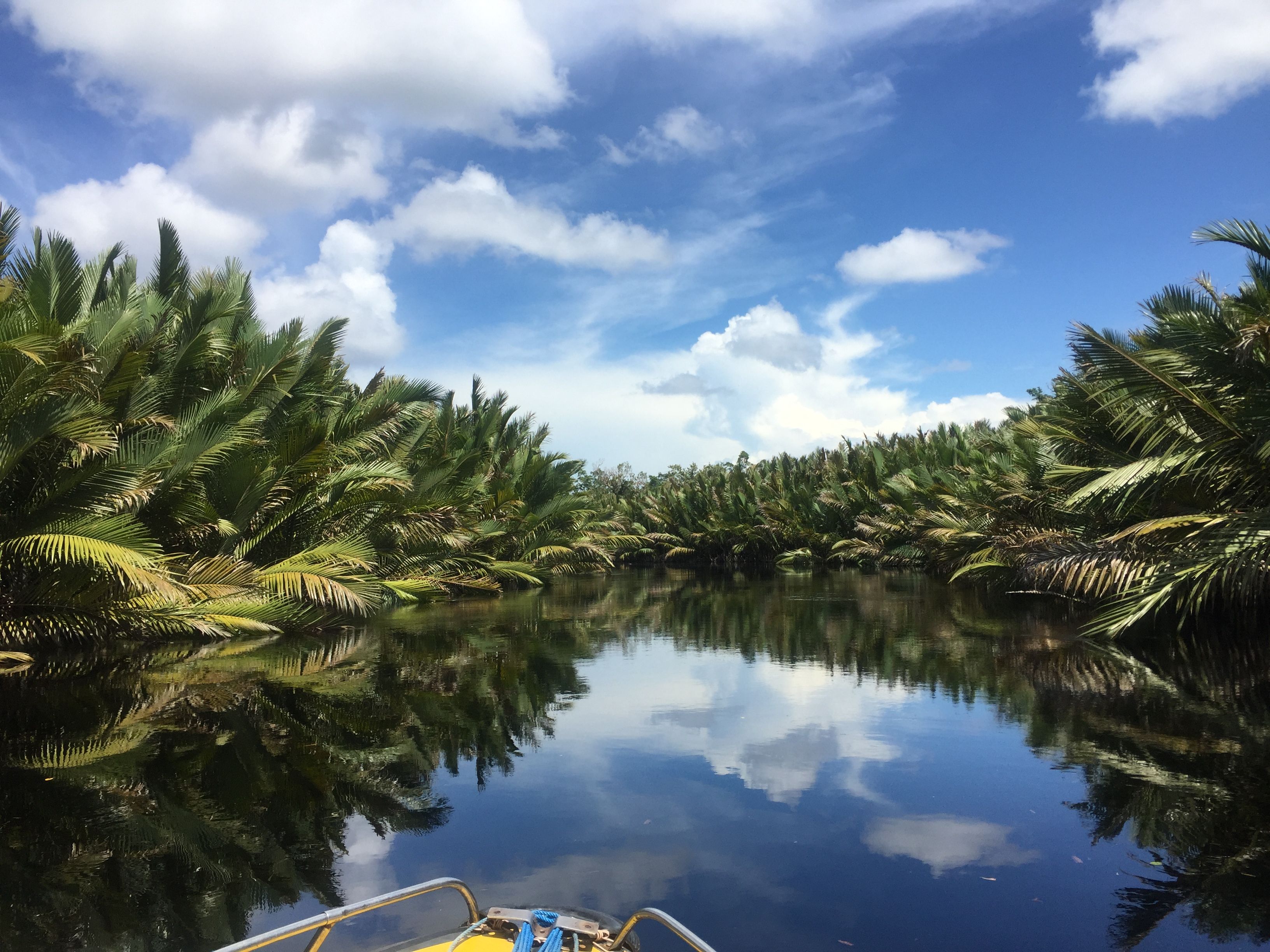 Inspire. Curate. Explore.