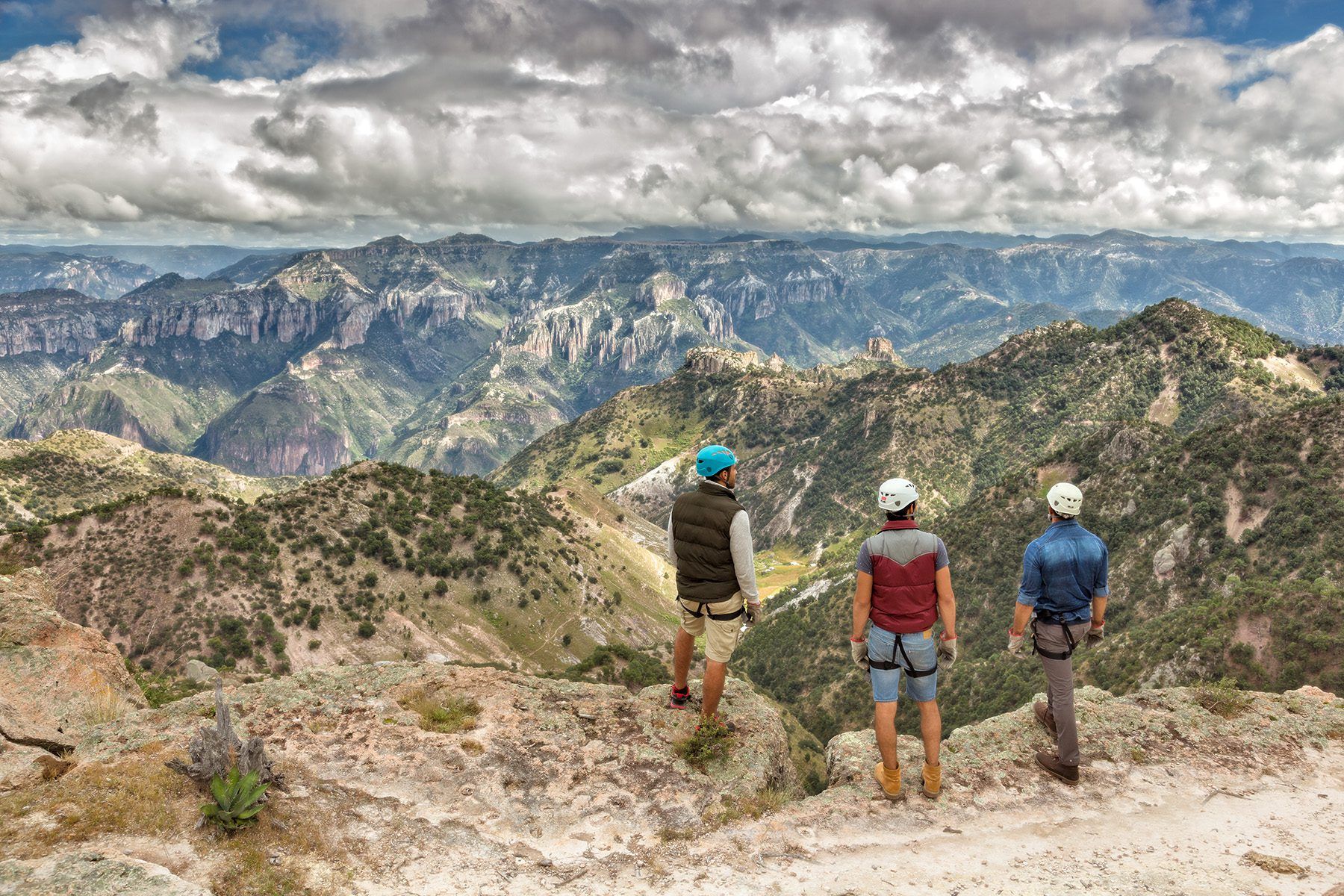 Inspire. Curate. Explore.