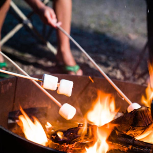 Making s'mores by the campfire Campsites That Allow Fires