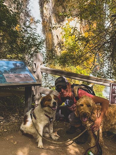 Hiking with dogs.jpg
