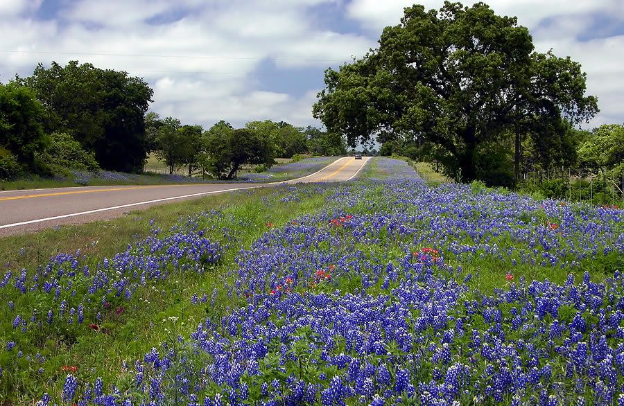 The Premier Texas Wine Tasting Experience Heart Of Texas Wine Tours