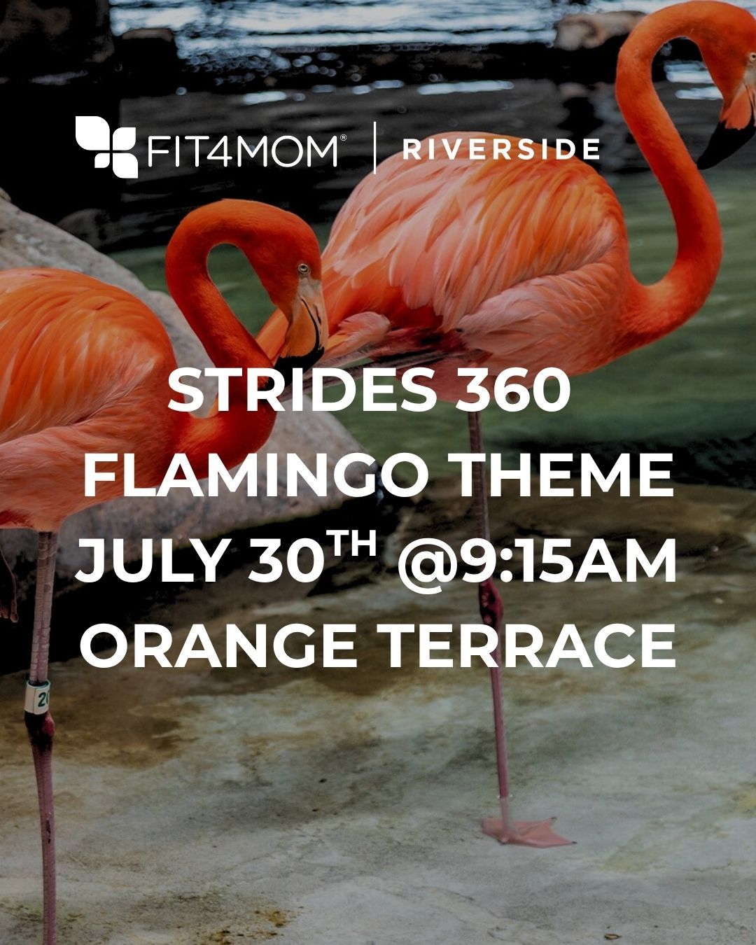 IG_STRIDES 360 FLAMINGO THEME JULY 30TH @915AM ORANGE TERRACE (Instagram Post (45)).jpg