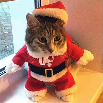 catsanta.jpg