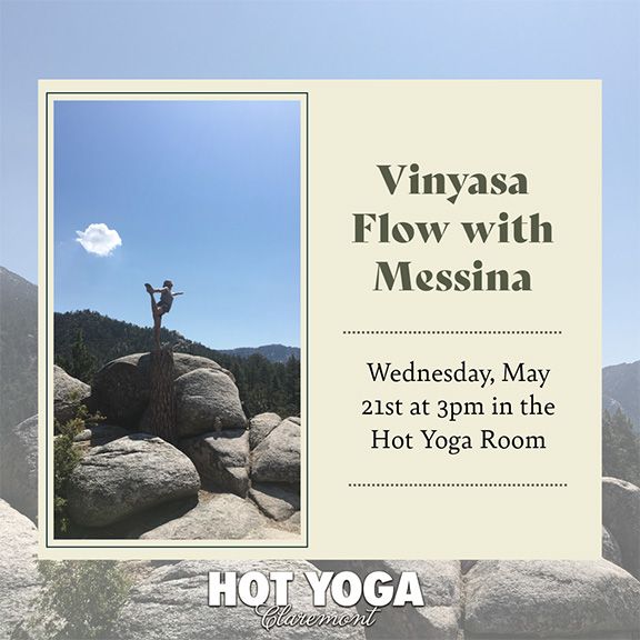 vinyasa sm.jpg