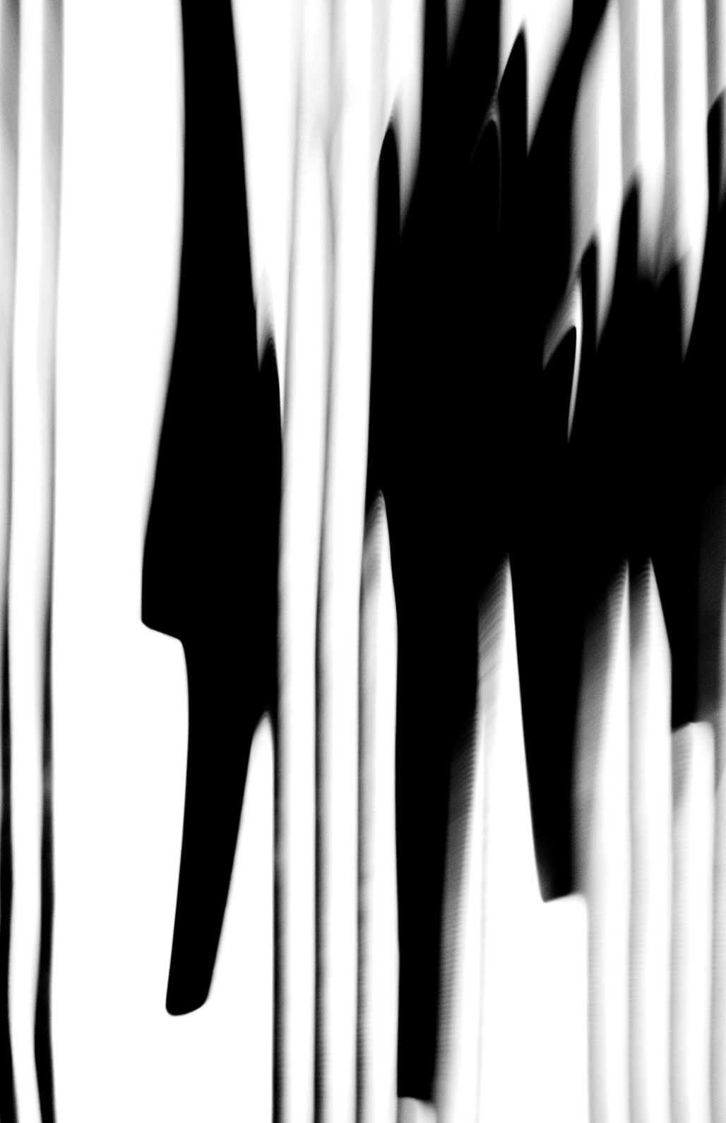 Untitled, 2014, Black and White Abstract Photography, Shirine Gill