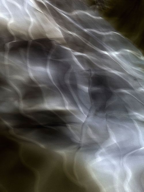 Untitled No. 2 2013, Black and White Abstract Photography, Shirine Gill