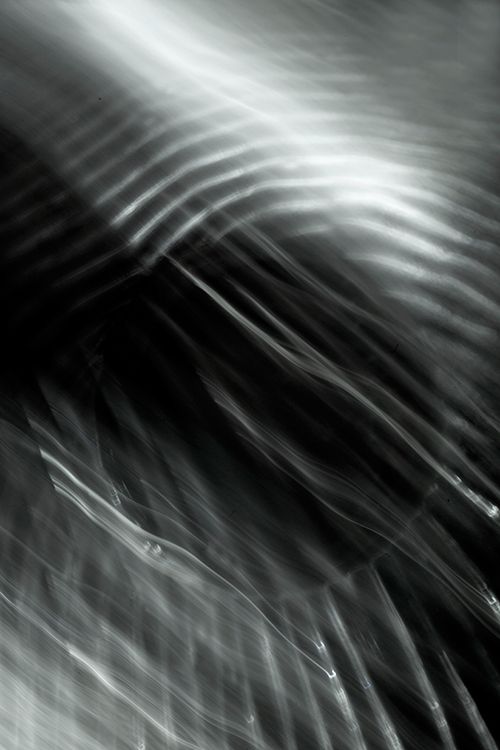 Untitled No. 5 2009, Black and White Abstract Photography, Shirine Gill