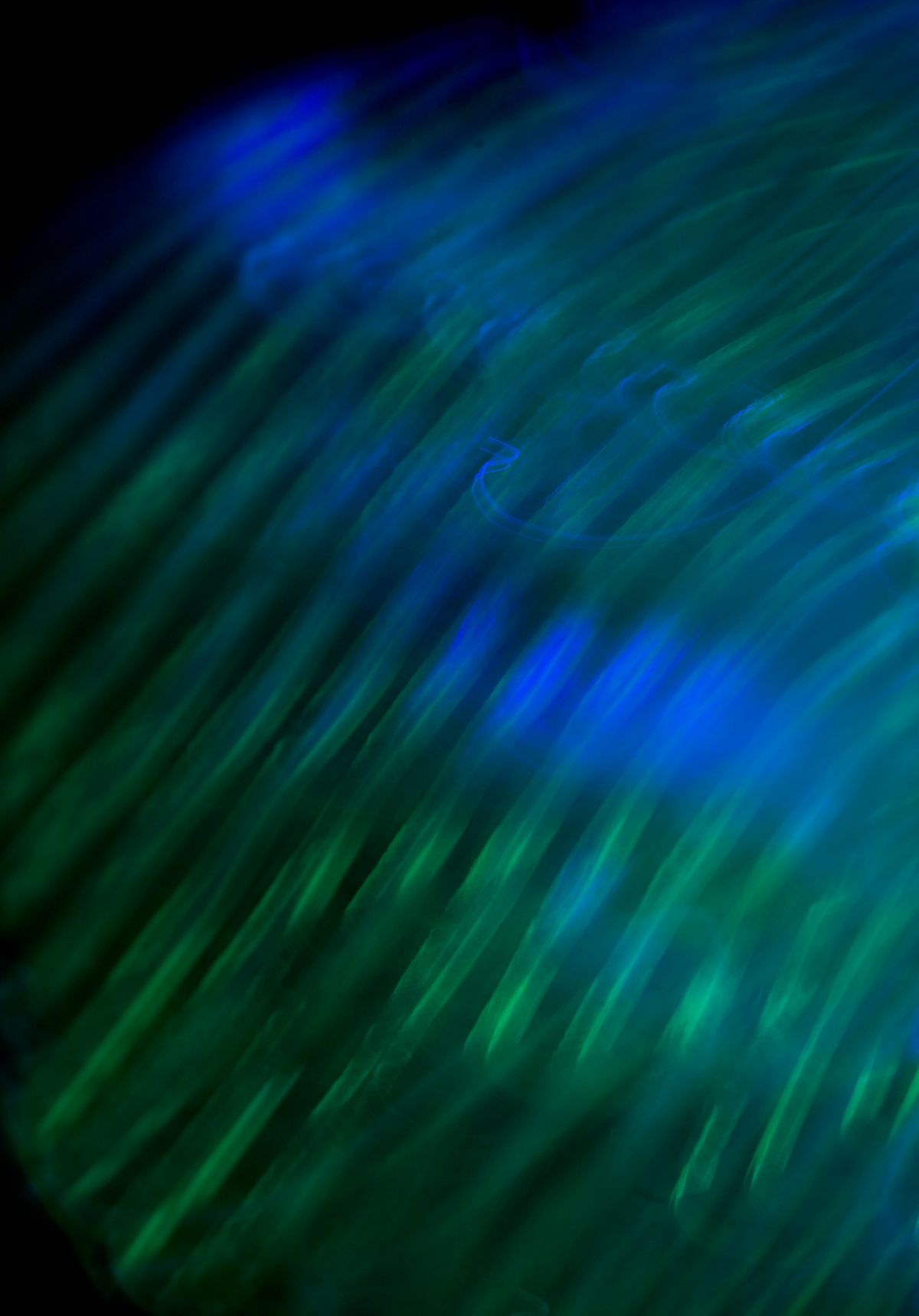Suite Caribe, 2009, Abstract Color Photography, Shirine Gill