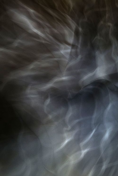 Untitled No. 1 2013, Black and White Abstract Photography, Shirine Gill