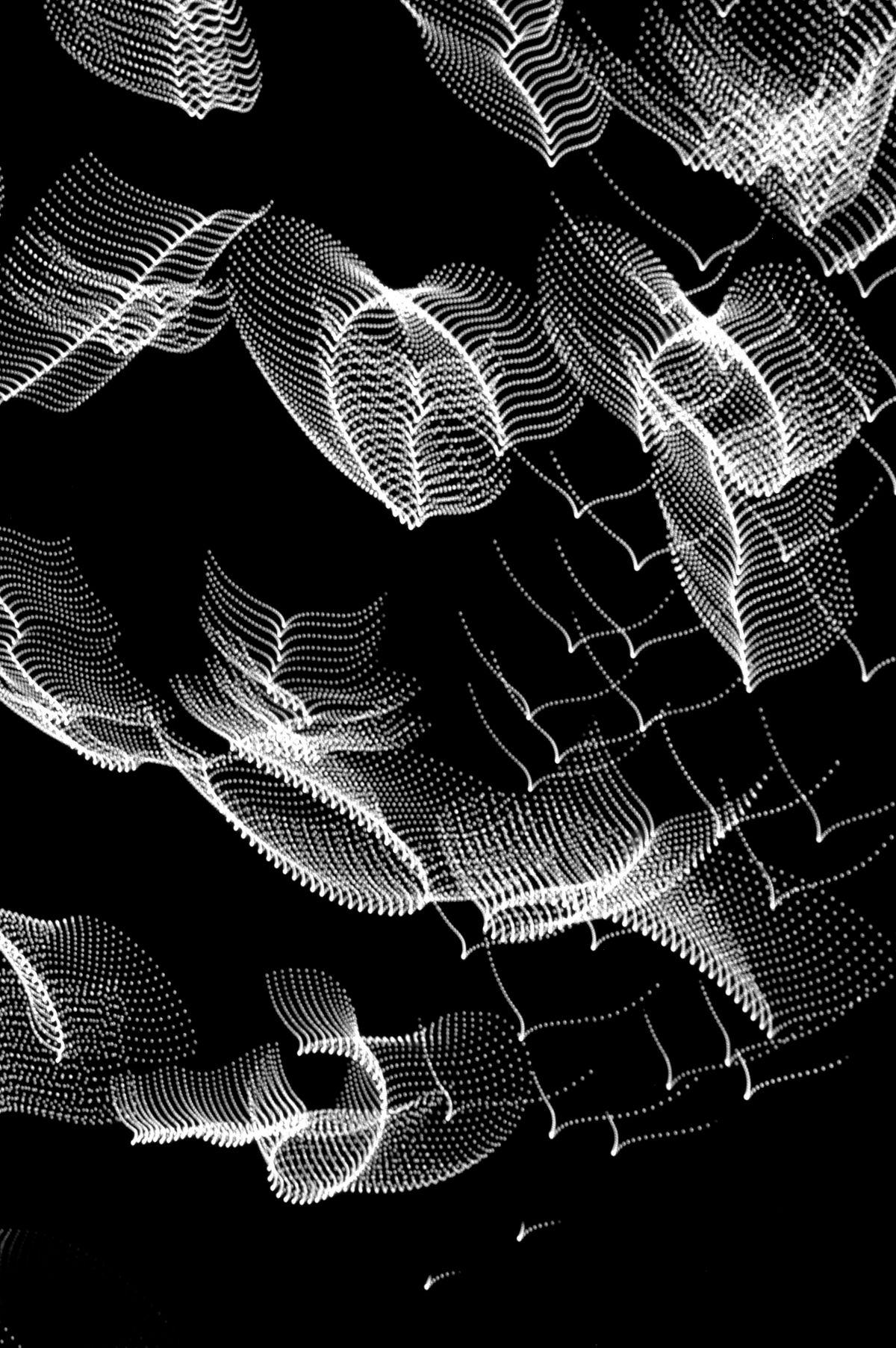 Nights of St. Lorenzo, 2007, Black and White Abstract Photography, Shirine Gill
