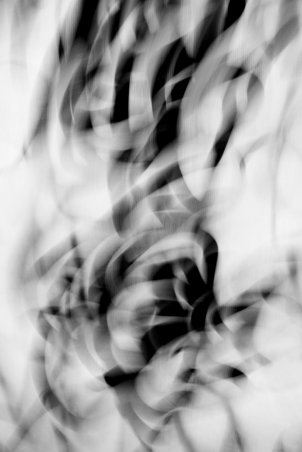 Untitled, 2013, Black and White Abstract Photography, Shirine Gill