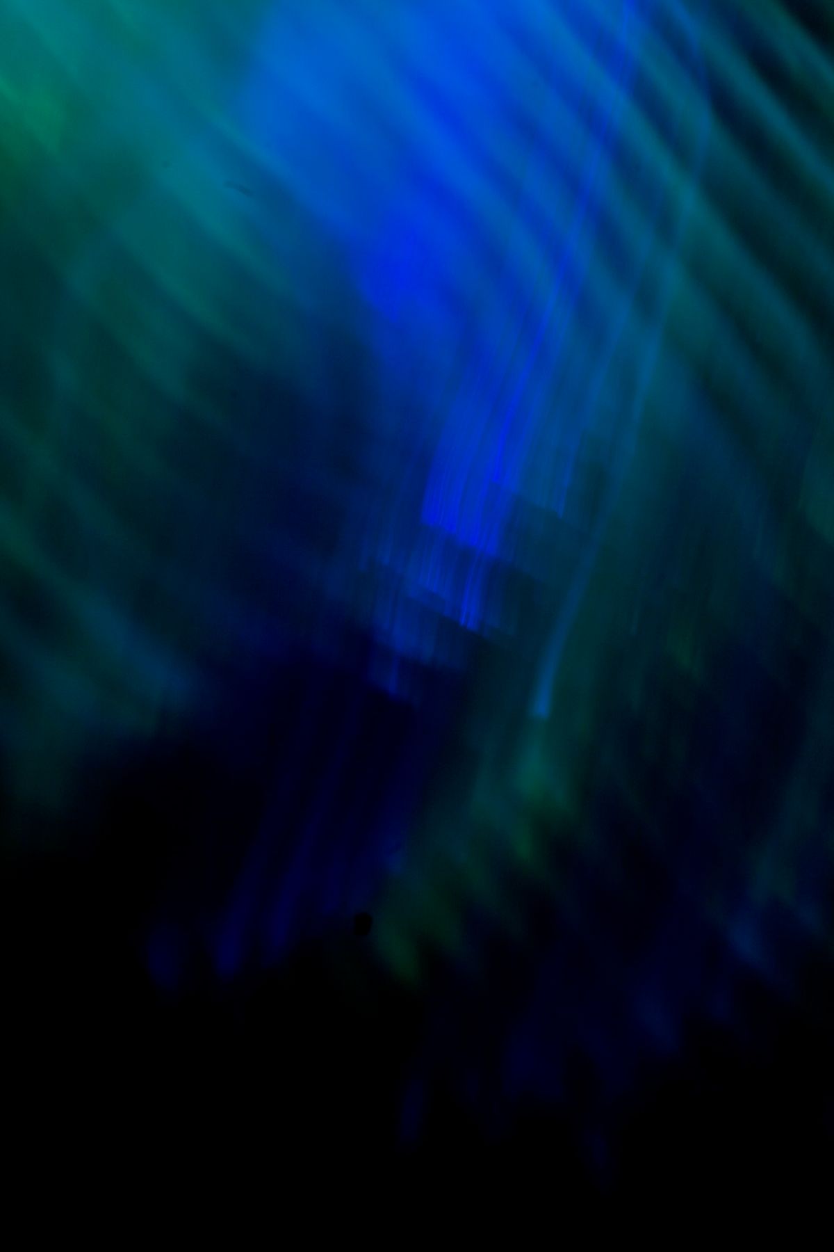 Suite Caribe, 2009, Abstract Color Photography, Shirine Gill