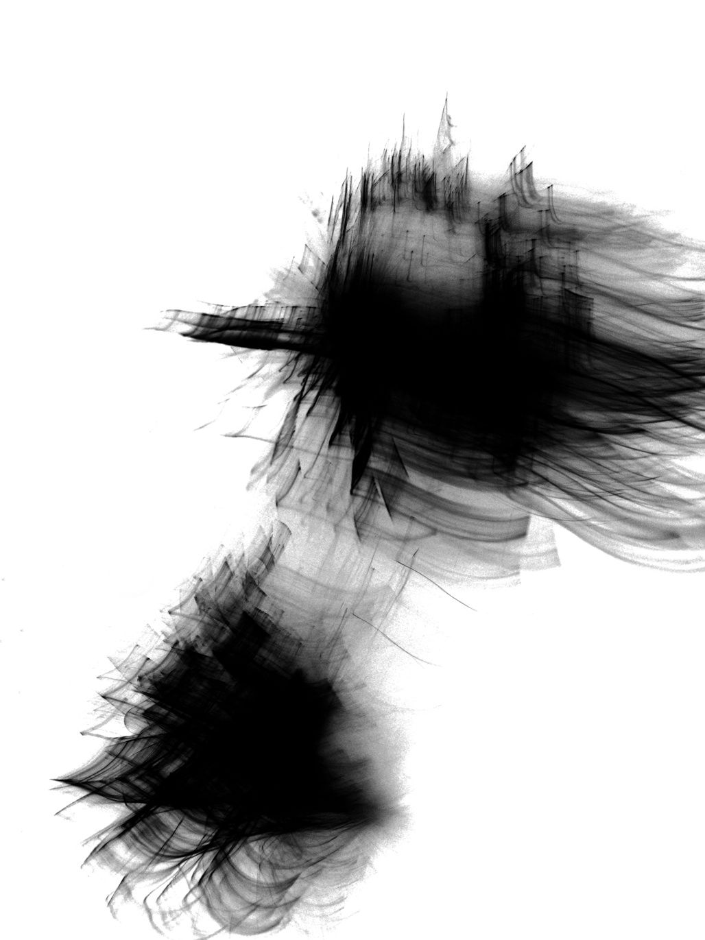 Untitled, Feathers, 2011, Black and White Abstract Photography, Shirine Gill