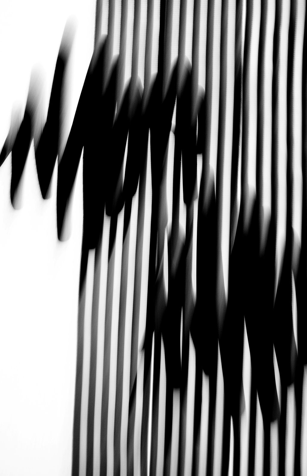 Untitled, M. Doodles 2, 2014, Black and White Abstract Photography, Shirine Gill