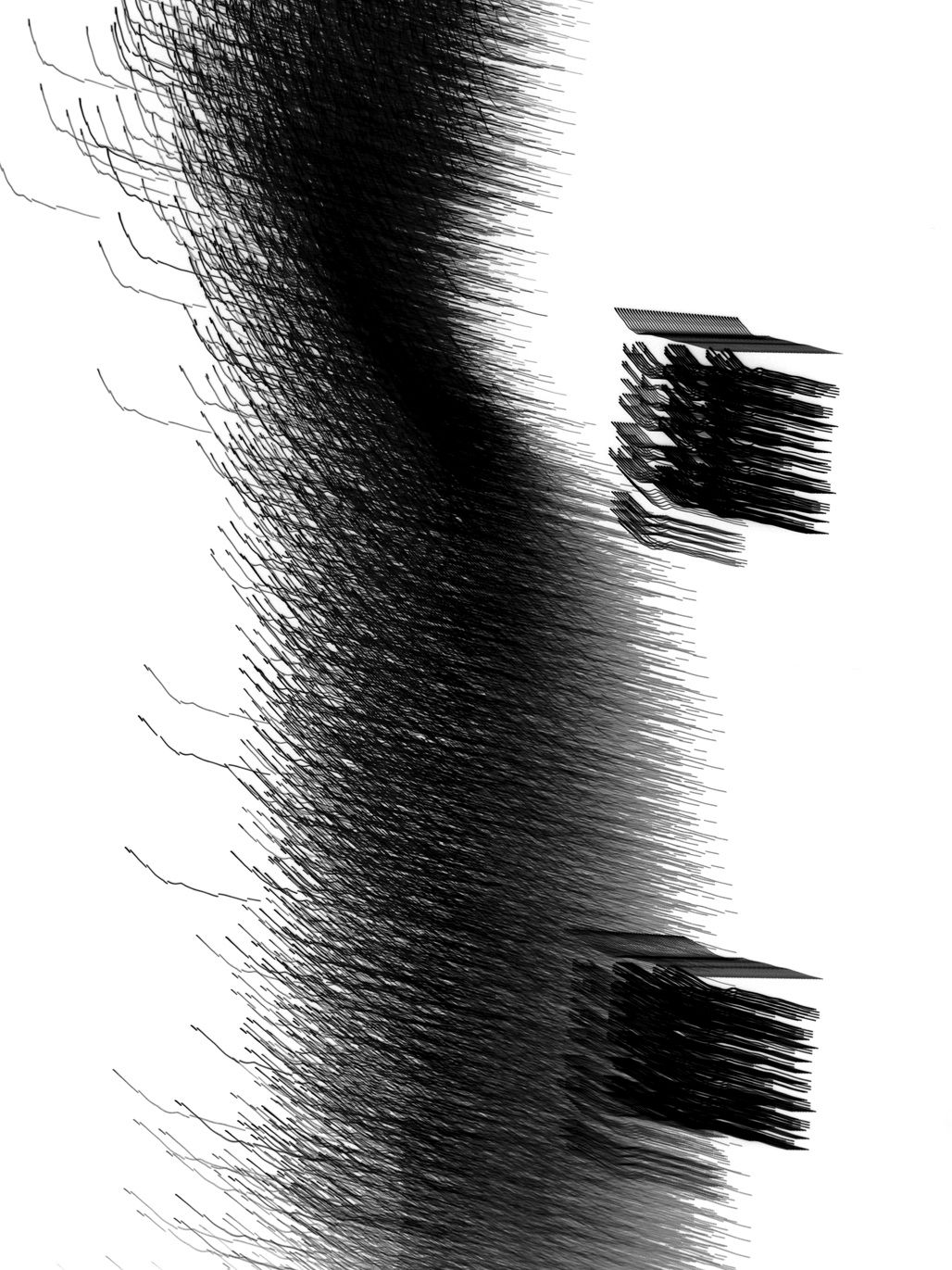 Untitled-IBM, 2011, Black and White Abstract Photography, Shirine Gill