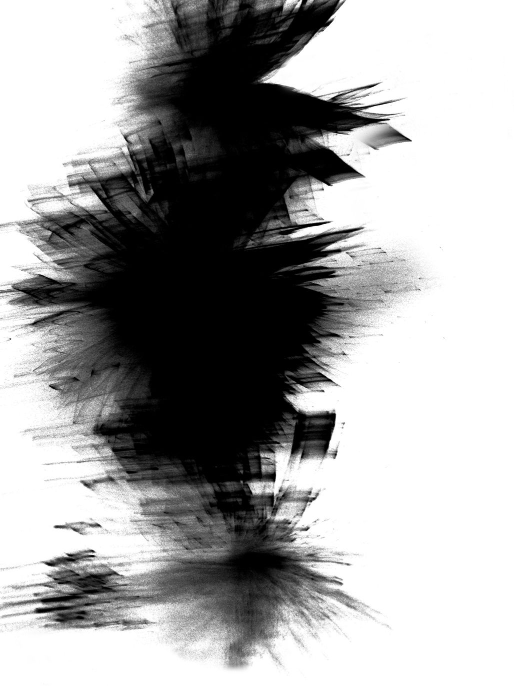 Untitled, Feathers, 2011, Black and White Abstract Photography, Shirine Gill