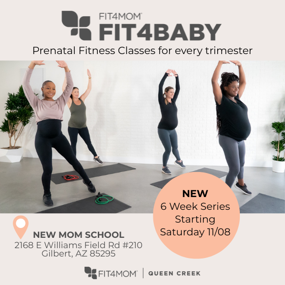 Copy of FIT4MOM McAllen FIT4BABY graphic (580 x 580 px).png