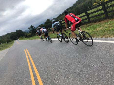 Cyclists on the road