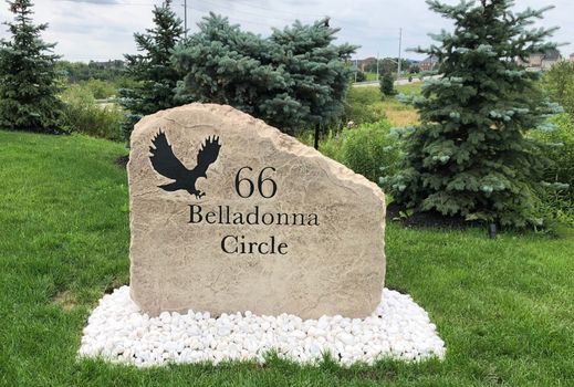 489695279_122121964838793327_1850082321397616029_n.jpg