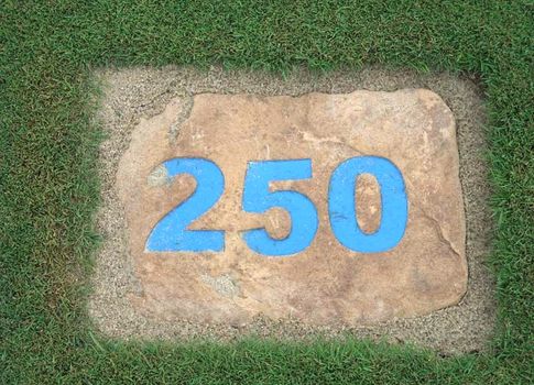 Golf_Course_Tee_Marker2.jpg
