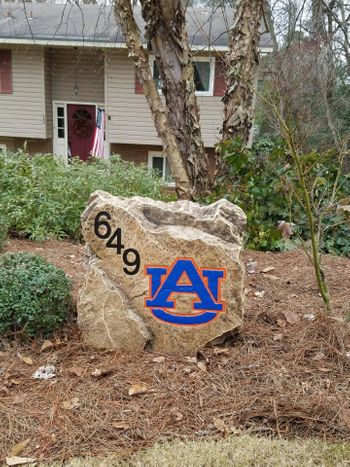 649 AU.jpg