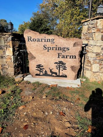 RoaringSprings.jpg