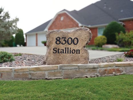 8300 stallion.jpg