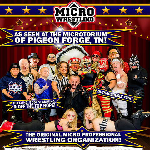 micro wrestling web .png